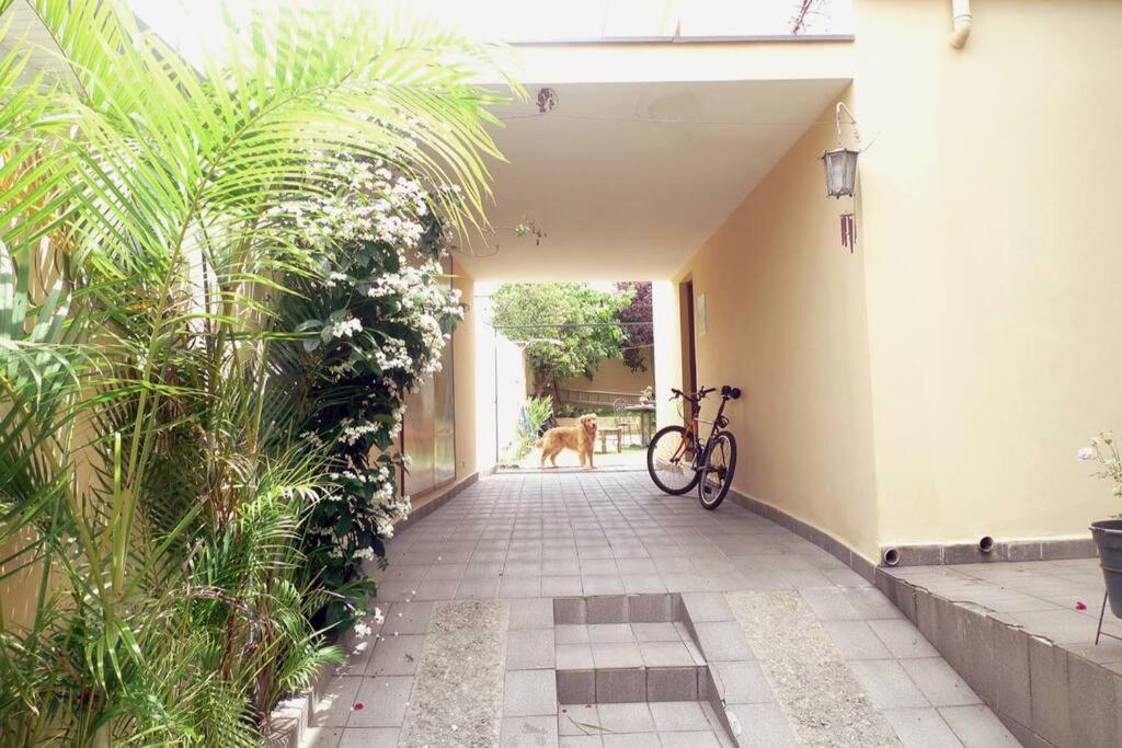 Casa de férias 5 Min De Caminhada Ate A Estacao Do Metro Sonia São Paulo